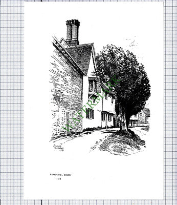 8888) Newport Essex / Newton Green Little Chesterford - c.1980s Print / Cutting