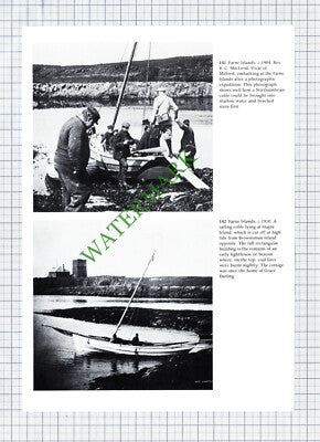 Farne Islands Rev R C MacLeod Mitford -  Cutting