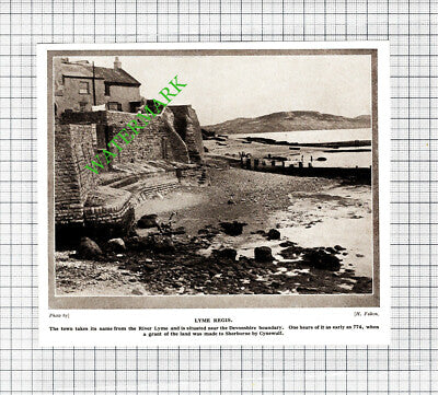 Lyme Regis  - 1920's Small Cutting / Print
