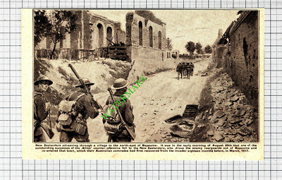 Near Bapaume New Zealanders World War One WW1 - 1918 Cutting