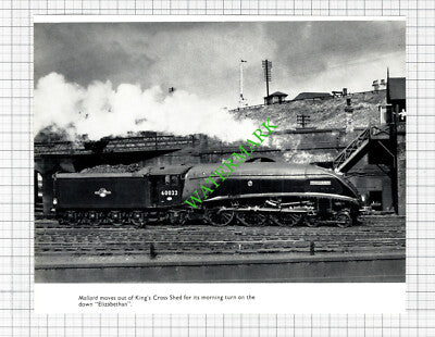 King's Cross Shed Railway Engine Mallard 60022  - Cutting