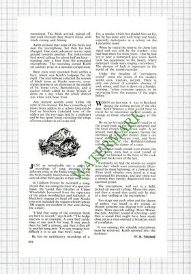 Keith Briggs Craven Naturalist  - 1977 Small Article