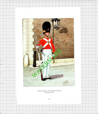 Colour Sergeant Scots Fusilier Guards London -  c.1990's Print