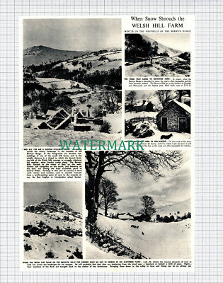 (X299) Rhydwen Farm Berwyn Hills Wales - 1951 Clip