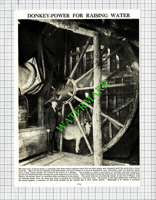 Kenworth Farm Dunstable Donkey Wheel - c.1930s Cutting