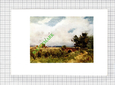 Near Pevensey Sussex - c.1913 Small Print