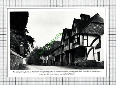 C8043) Chiddingstone Kent   - 1980s Cutting
