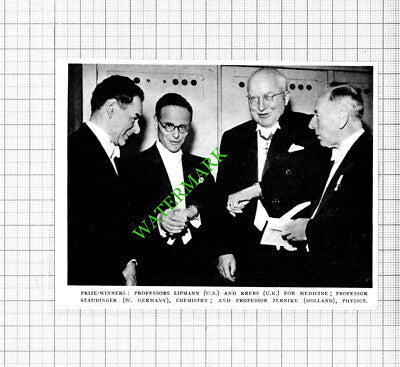 Professor Lipmann Krebs Staudinger Zernike - 1953 Small Cutting