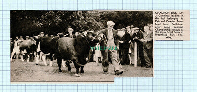 C5413) Mr J Cummings Keir & Cawder Townhead Farm Perthshire - 1946 Cutting