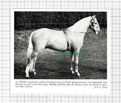 C5451) Bubbly Horse Mrs H Frank Lt Col & Mrs Bullen - 1959 Cutting