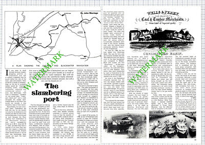 Chelmsford Port Essex  - 1981 Article