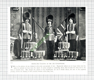 2nd Coldstreams Coldstream Guards - c.1900 Cutting / Print