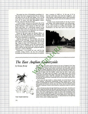 9215) Woodbastwick And Wroxham   - 1972 Article