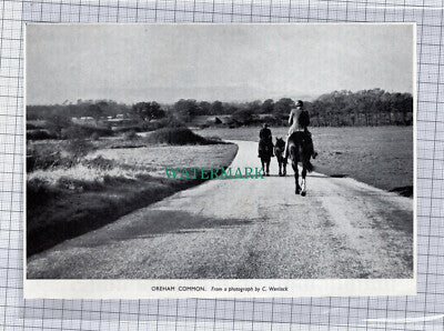 C802) Oreham Common Sussex C Wenlock - 1954 Cutting