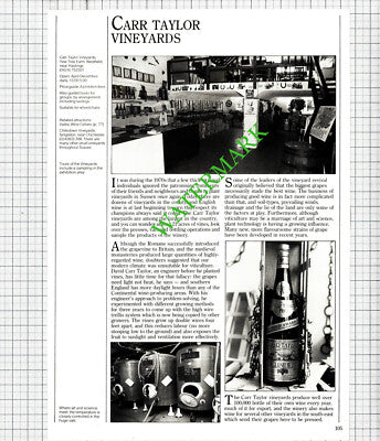 Carr Taylor Vineyards Yew Tree Farm Westfield Hastings Sussex  - 1986 Cutting