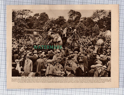 (8738) London Zoo Elephant Rides - c.1925 Book Print