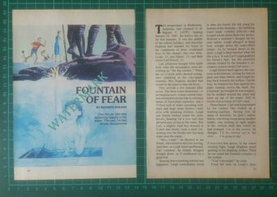 C4283) Carl Powell Fountain of Fear Melbourne Australia -  Magazine Article 1985