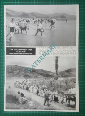(X488) Korean Refugees Crossing Naktong River - 1950 Clip