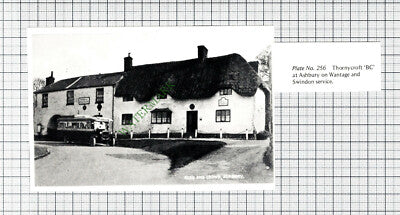 C7883) Ashbury Rose and Crown  - Cutting