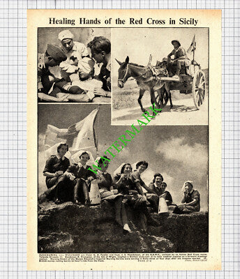 Red Cross Sicily RAMC Queen Alexandra Nursing Yolanda Girasole WW2 -1943 Cutting