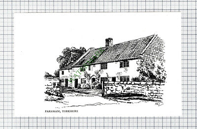 C7826) Farnham Yorkshire - c.1980s Cutting