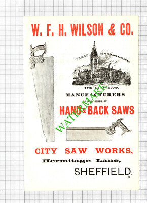WFH Wilson & Co City Saw Works Sheffield Frederick Brindley Advert -1897 Cutting