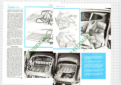 Jaguar 2+2 Car Review - 1966 Article