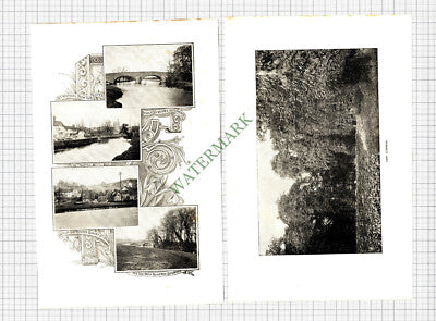 9074) Guildford Surrey  - 1900 Article