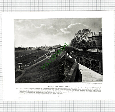 Chester England Roodee Racecourse / Watergate Street  - c.1895 Book Print