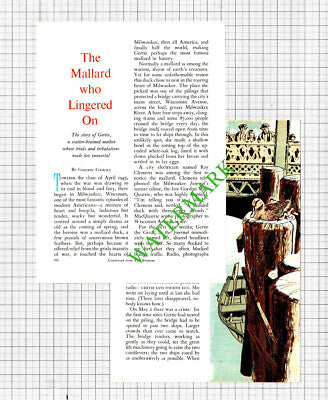 Ray Clemens Milwaukee Wisconsin Lawrence Hautz Duck  - 1962 Small Article