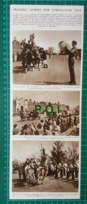 (X280) Woolwich Barracks Horse Training For Coronation Day - 1953 Clip