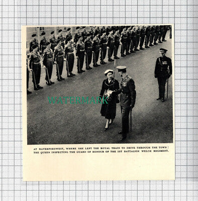 C3977) Haverfordwest 1st Battalion Welch Regiment Queen Inspection 1955 Cutting