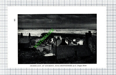 Gourdon Kincardineshire Hurricane - 1951 Small Cutting