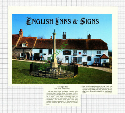 The Tiger Inn East Dean East Sussex - c.2001 Cutting