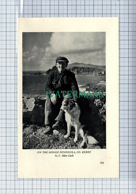 C4484) Dingle Peninsula Co Kerry Ireland Man And Dog Allan Cash - 1956 Clip