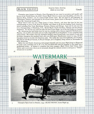 C4736) Lorne Siegle Black Velvet Horse Charles Armstrong - 1950s 2-Part Clip
