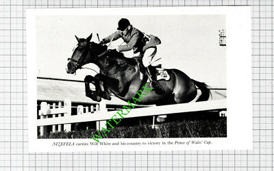 Wilf White Horse Jumping NIZEFELA  - 1950s Small Cutting