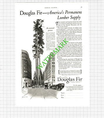 Douglas Fir West Coast Lumber / Ketcham Trinity Church Buffalo -1926 Cutting