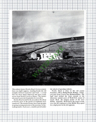 Newby Head Farm Yorkshire - Cutting