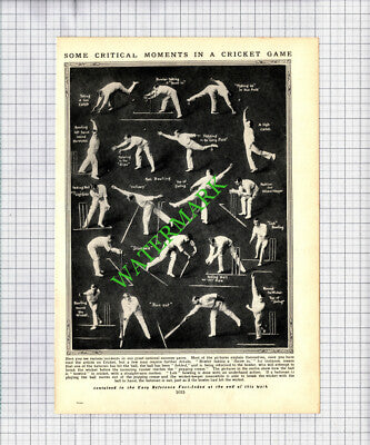 Cricket Moves   - c.1930s Cutting / Print