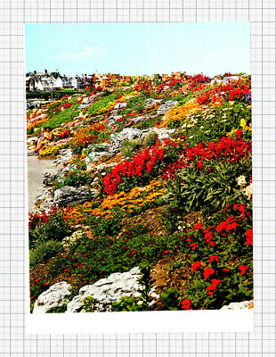 Westgate On Sea Kent Rock Gardens - 1970s Cutting / Print