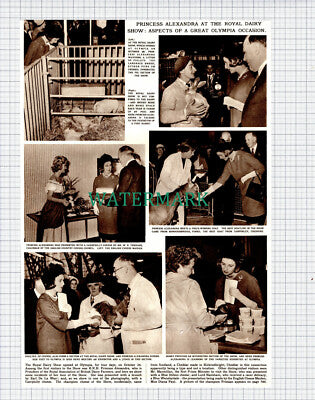 (X188) Royal Dairy Show Olympia Mr WR Trehane Cheese Council - 1961 Clip