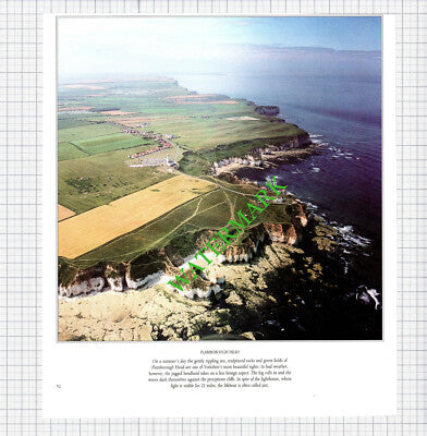 Cowick Hall Yorkshire / Flamborough Head - 1980s Cutting / Print