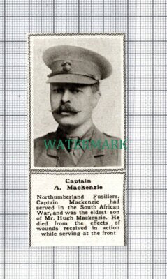 C5245) Captain A MacKenzie Northumberland Fusiliers Hugh WW1 -1918 SMALL Clip