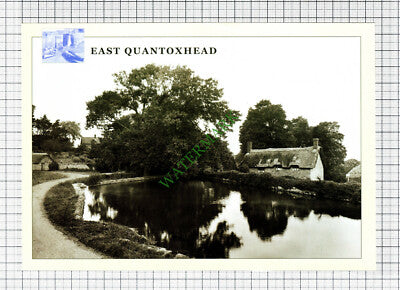 C5053) East Quantoxhead - Cutting