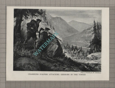 C3687) Chasseurs D'Alpins Attacking Germans In The Vosges - c.1920s Book Print