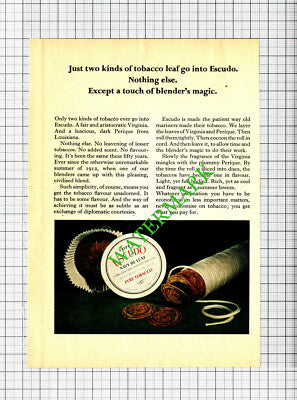 Escudo Tobacco Small Advert  - 1966 Cutting