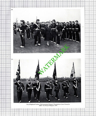 Royal Highland Fusiliers Old Anniesland Glasgow   - Cutting