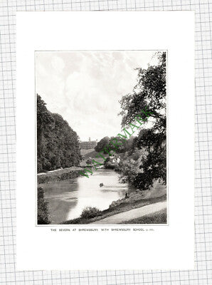 9996) Shrewsbury School - c.1910 Cutting / Print
