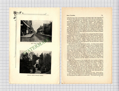 8914) REIGATE Surrey Percy Lane Oliver  - 1902 Article